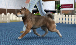 SKC 2nd Simnational Level II, Year I