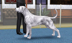 SUWC 5th Premier Qualifier Show C