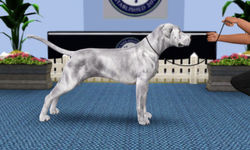 SKC 2nd Simnational Level II, Year I