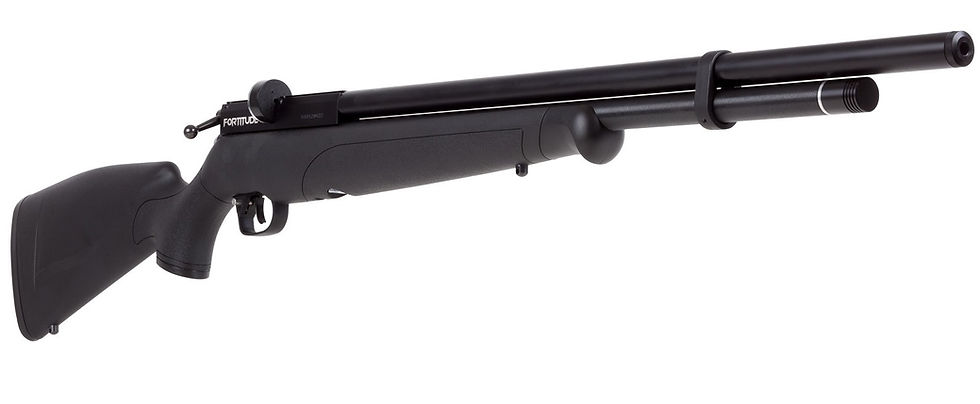 Miniatura: RIFLE PCP BENJAMIN FORTITUDE G2  5,5MM