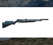RIFLE PCP PR900S GEN 2 5.5MM