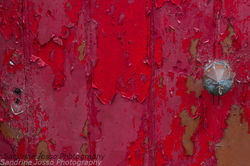 Image Sandrine Josso