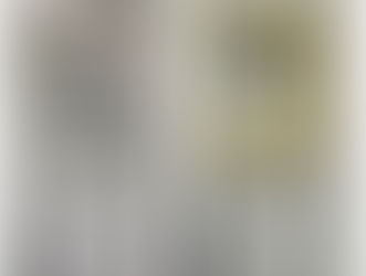 洗面台とトイレのリメイク