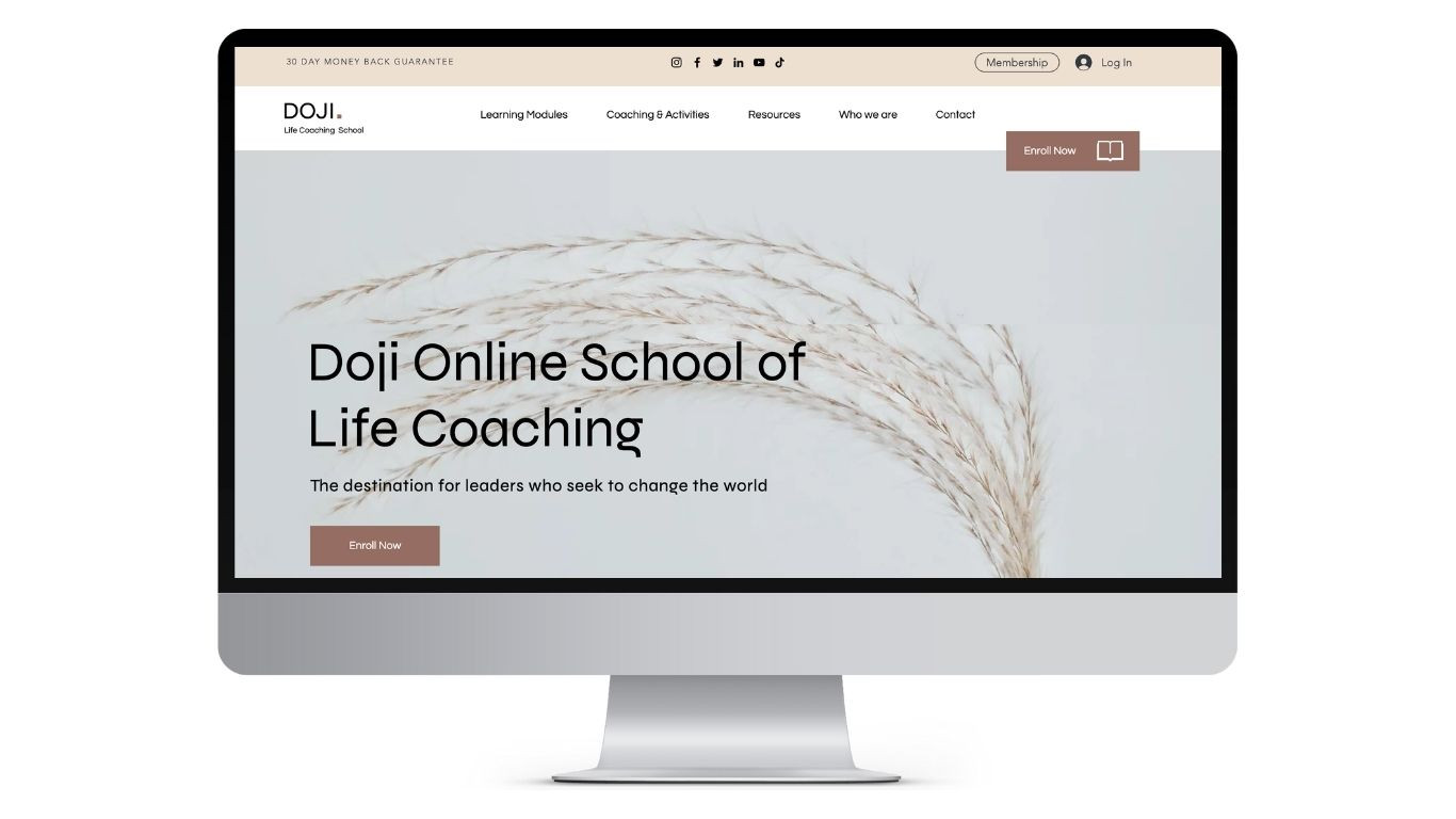ONLINE PROGRAM/SCHOOL WIX Website template