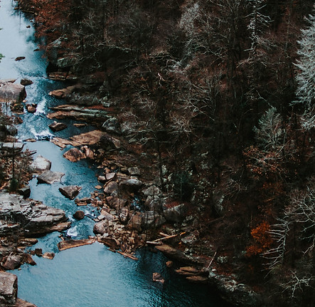 World Relations-Thetakoden Mesterprogrammet