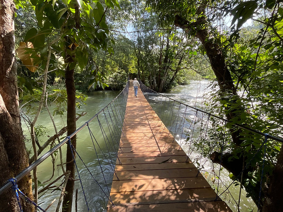Ponts suspendus pour accéder à un finca de cacao.