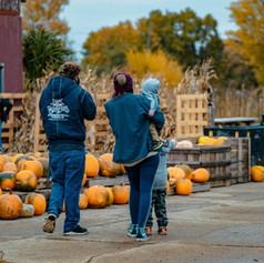 Red Egg Farm Spring Arbor Michigan