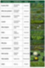 aquatic_plant_identification_chart-1.jpg