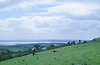 78140017-min_edited.png