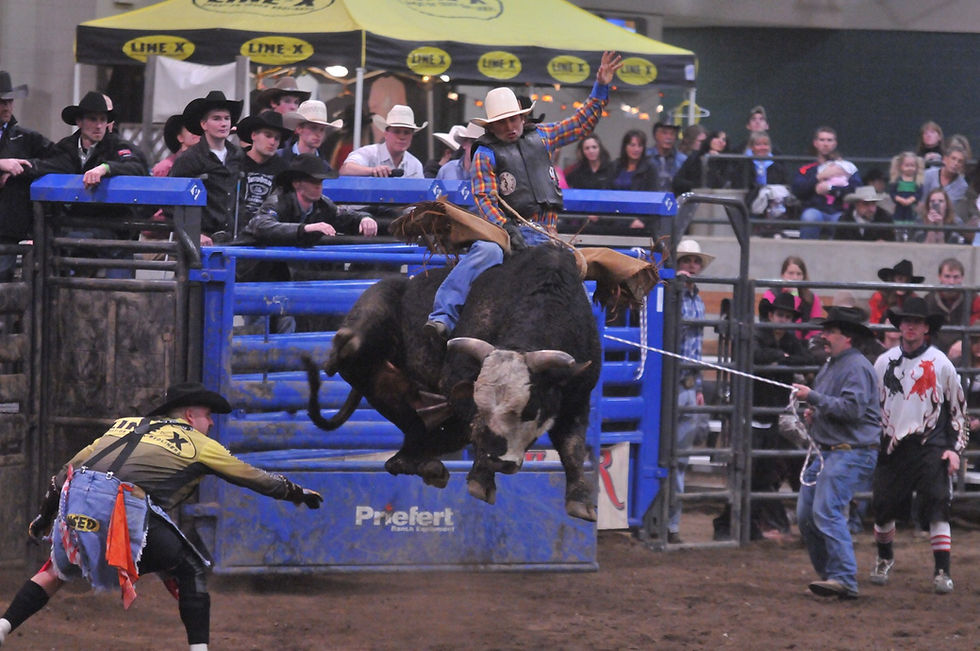 Twisted P Rodeo