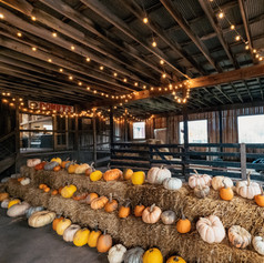 Red Egg Farm