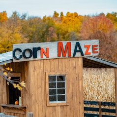 Red Egg Farm Corn Maze