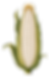ChatGPT Image Jul 23, 2026 at 10_30_27 AM_edited.png