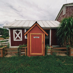Red Egg Farm