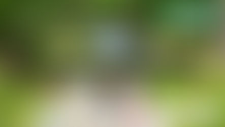 Mobilità dolce di Pistoia