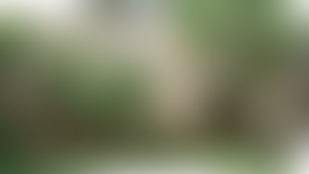 Ex Fornacione via fonda di vicofaro e aree limitrofe - situazione peggiorata