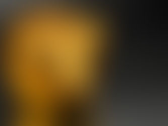 Risparmia fino 2500 euro con il bonus fiscale