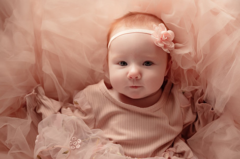 Fresh 48 session Bolivar Missouri