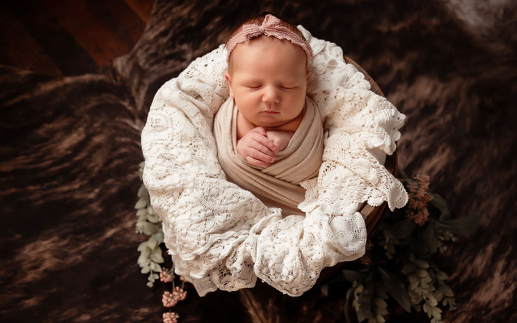newborn photographer Bolivar mo