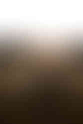 maternity photographer near Stockton, Missouri