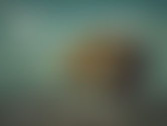 5 Cognitive Biases That Neglect Your Trading Performance (and the solutions)