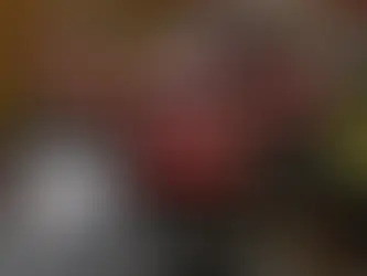 Best Liquor Store POS: LMS POS Billing & Inventory Guide