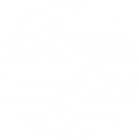 círculo del logotipo de la escuela wt idiomas en color blanco con fondo transparente
