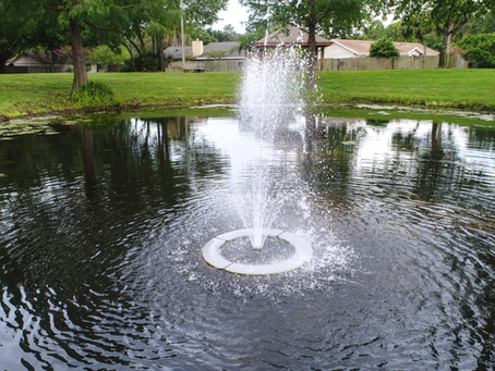 Summer Property Maintenance Tips for Daytona Beach and Brevard County