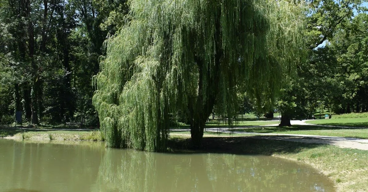 Whats New Spaeth Prop. Service