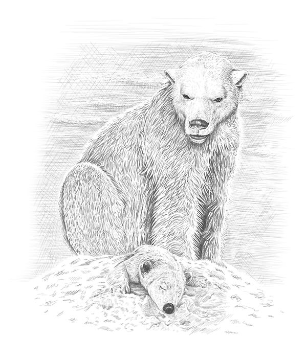 43 polar bear and cub 2 copy.jpg