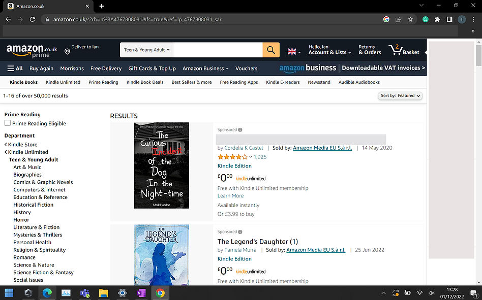 Screenshot 2022-12-01 132848.jpg