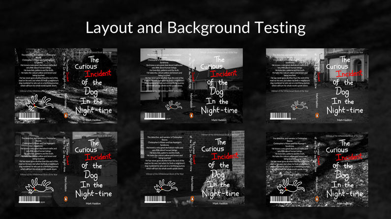 Book Design Presentation_Page_14.jpg