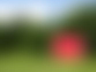 8 dicas para não errar na compra do terreno