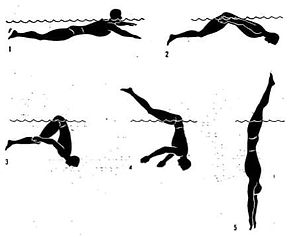 surface dive head.jpeg