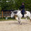 Miniature : Position à cheval