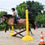 Miniature : Stage journée poney