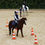 Miniature : Stage journée poney