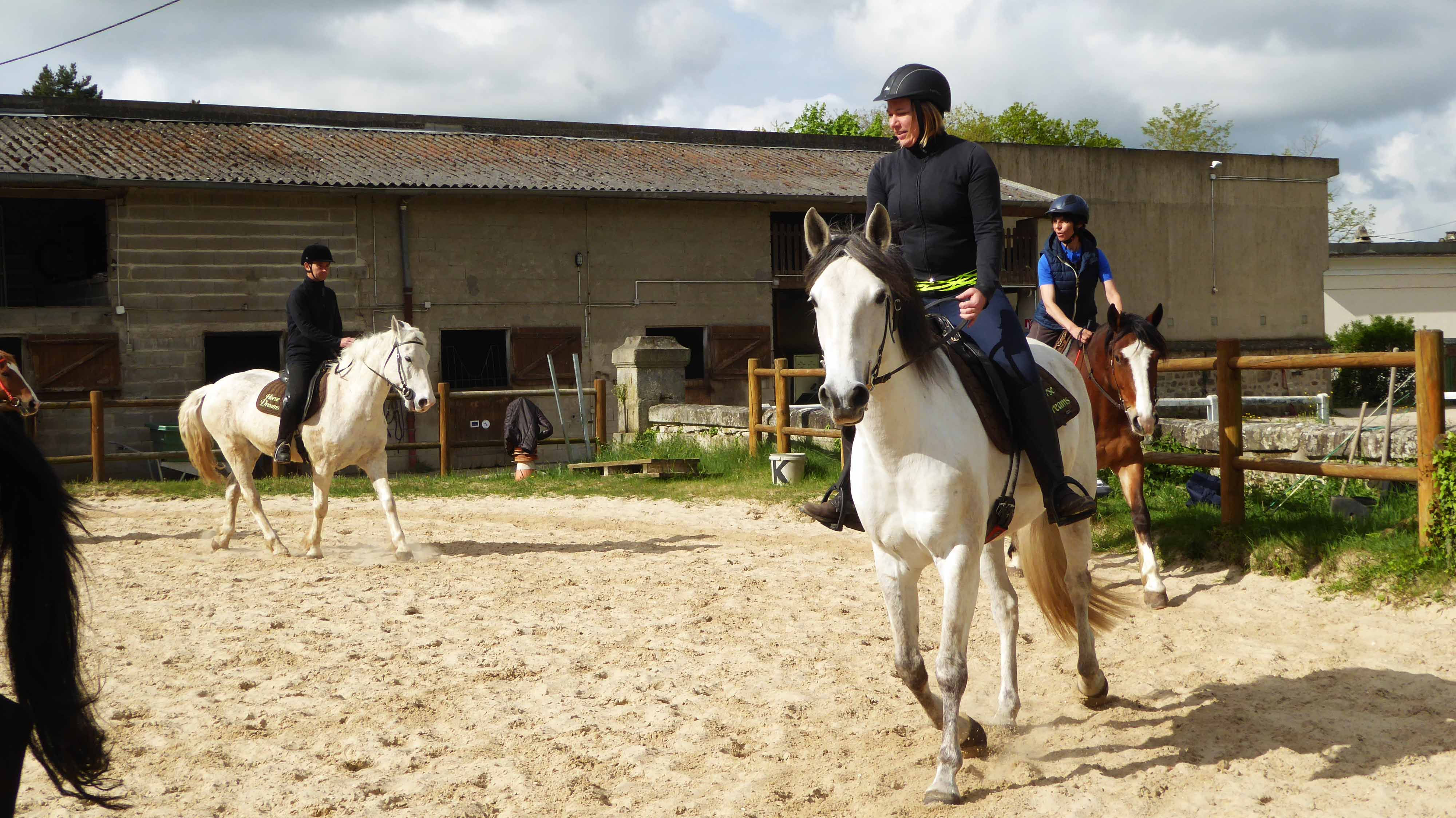 Cours d'équitation pleine nature- perfectionnement