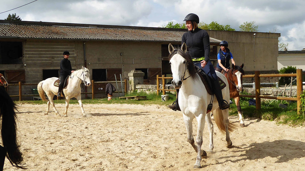 Cours d'équitation pleine nature- perfectionnement