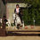 Miniature : Fonctionnement du cavalier à l'obstacle