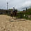 Miniature : Position à cheval