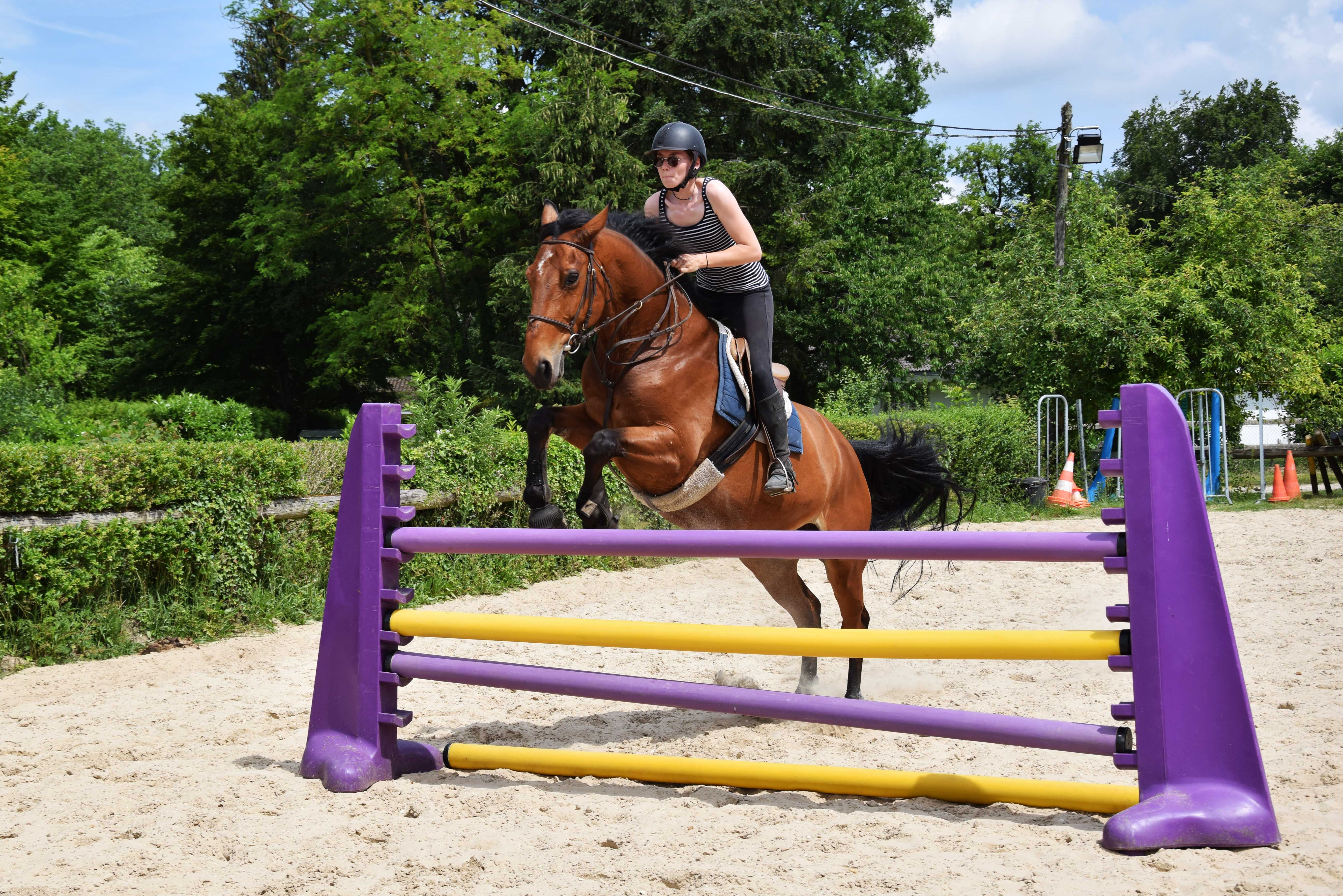 Saut d'obstacles 2 heures