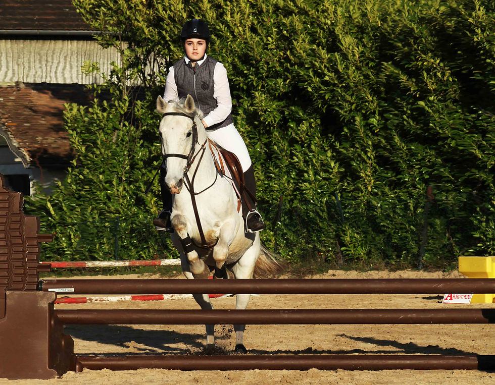 Miniature : Cours - Equitation classique