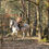Miniature : Balade à cheval - 2 heures