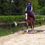 Miniature : Position à cheval