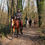 Miniature : Balade à cheval - 2 heures