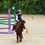 Miniature : Baptême poney