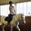 Miniature : Cours - équitation classique - initiation