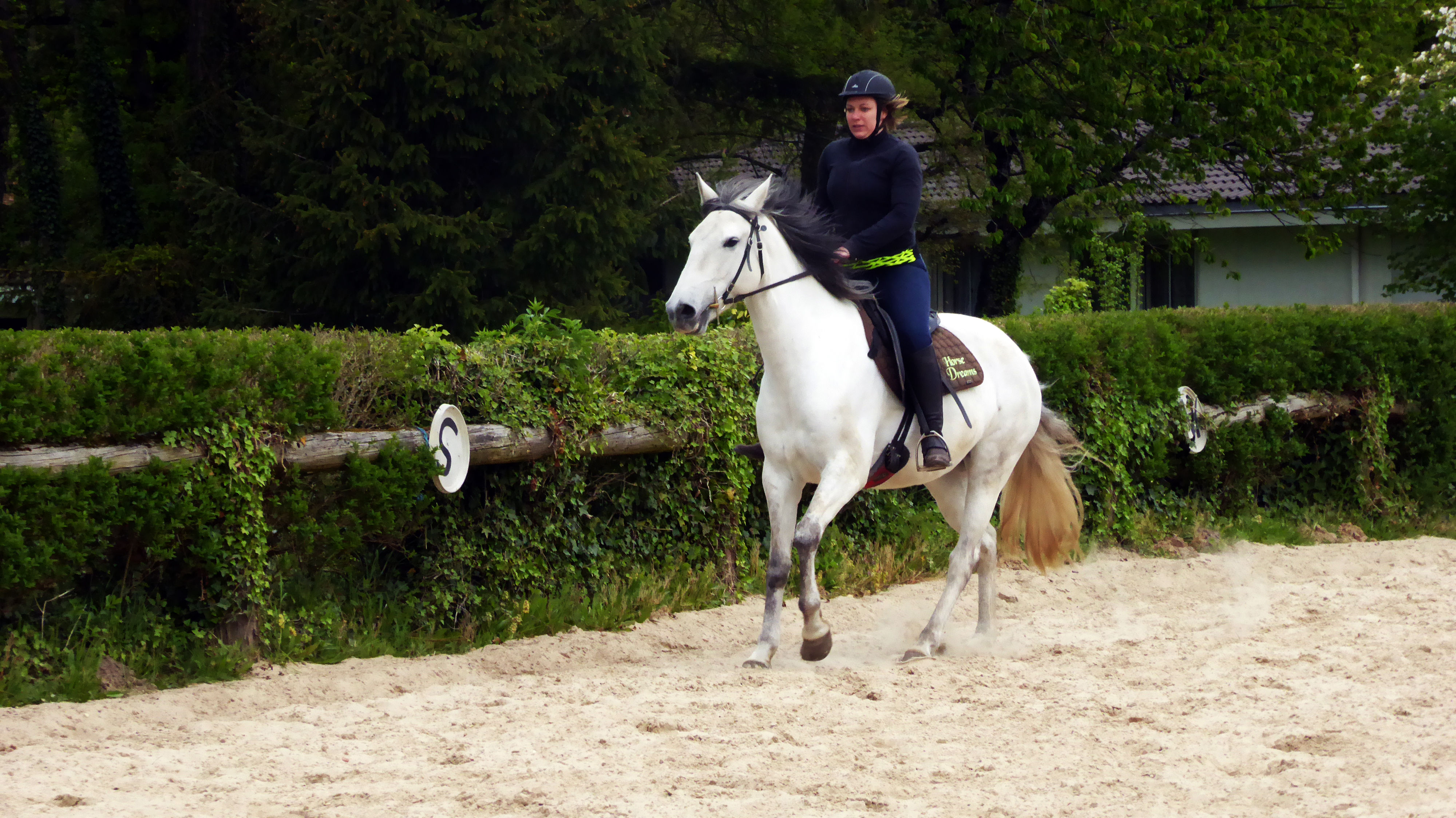 Position à cheval