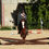 Miniature : Stage journée poney